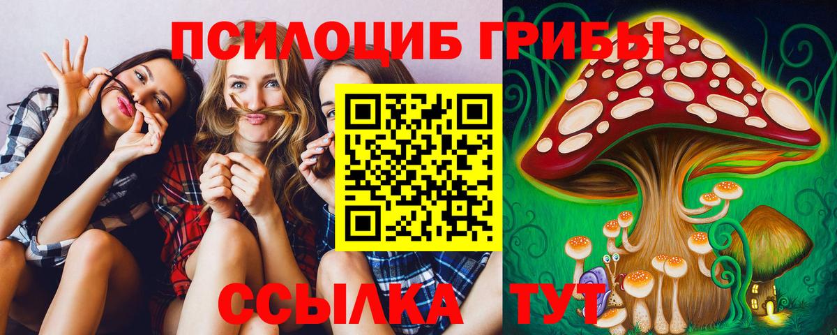 Псилоцибиновые грибы прущие грибы  Галлюциногенные грибы мухоморы  Вход с VPN  где продают   Электрогорск 