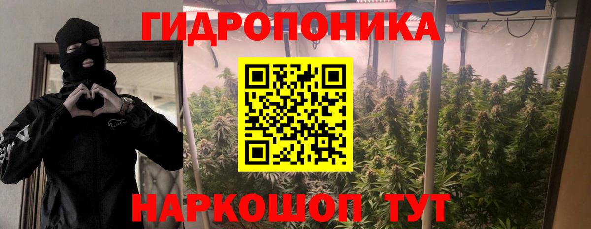 Шишки марихуана Ganja  Вход с VPN  Канабис сатива  Электрогорск  Шишки марихуана Bruce Banner 